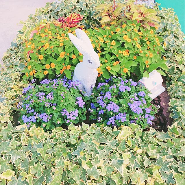 Miyumamaさんの実例写真
