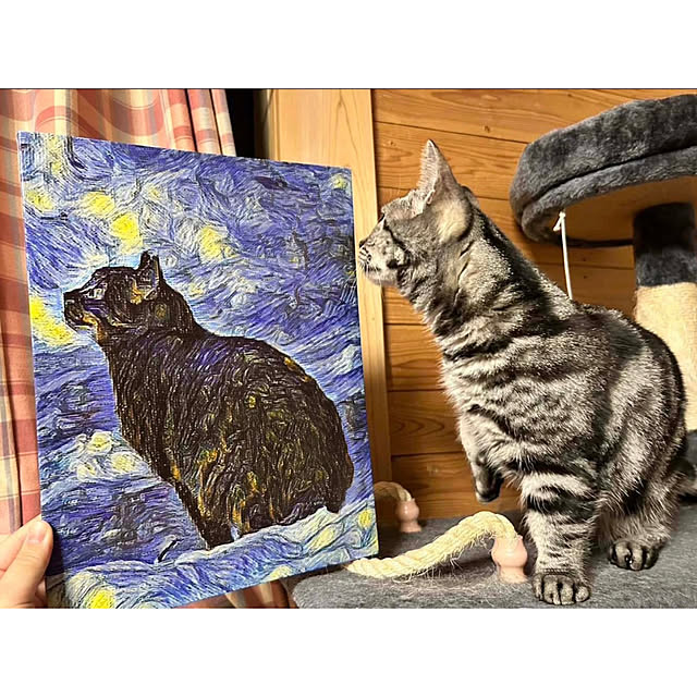 yumiさんの実例写真