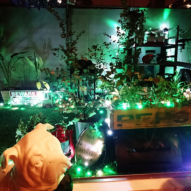 リビング/人工芝/観葉植物/バルコニー/イルミネーション...などのインテリア実例 - 2015-12-26 19:14:39