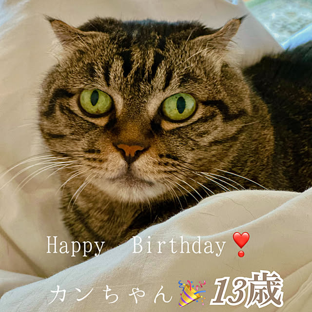 nene6さんの部屋