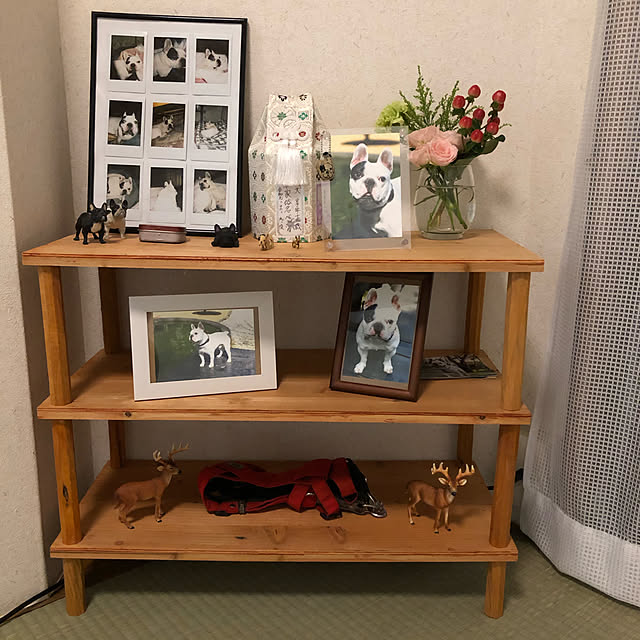 eccoocce39さんの実例写真