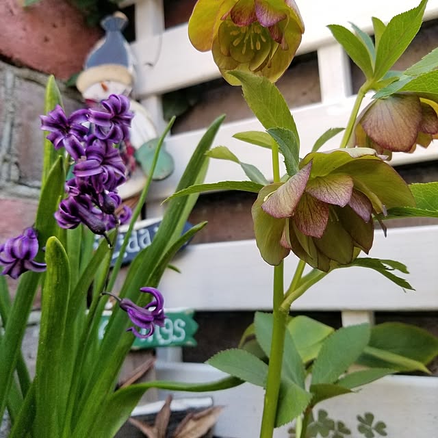 midoriさんの部屋