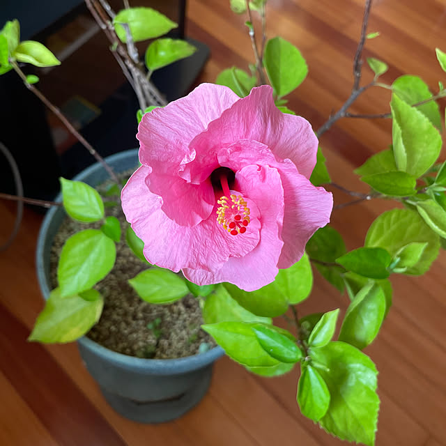 kakoさんの部屋