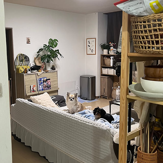 yapiさんの実例写真