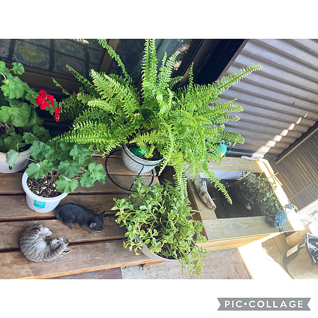CoCo0617さんの部屋