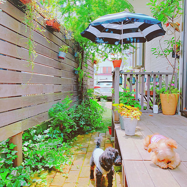 risaさんの実例写真