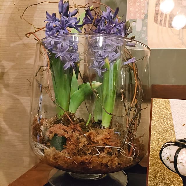 Yoko622さんの部屋