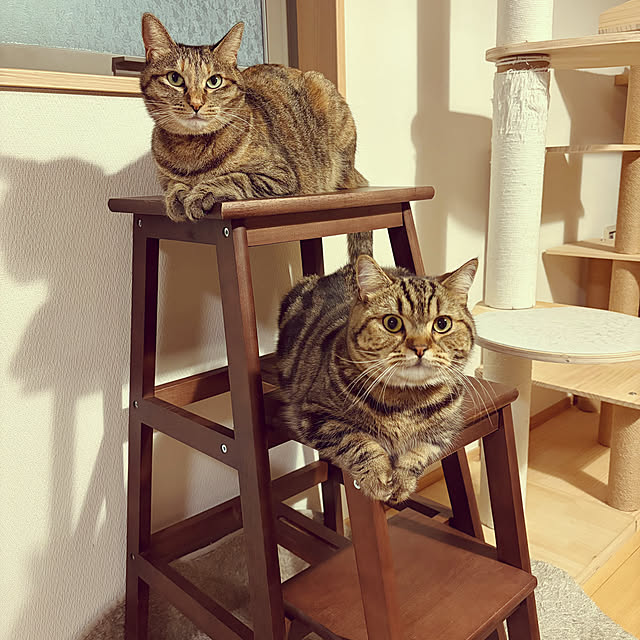 chiiさんの部屋