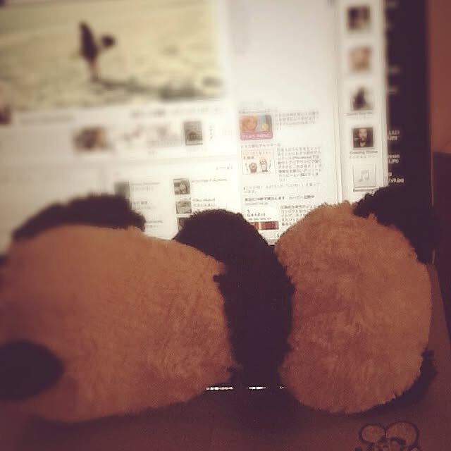 pandaさんの実例写真