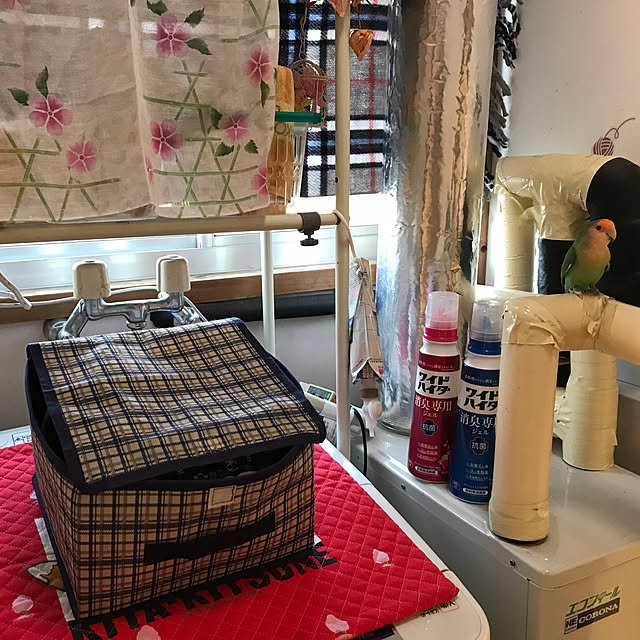 aoinokimiさんの部屋