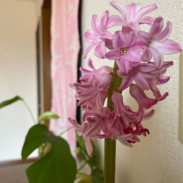 natsumiさんの部屋