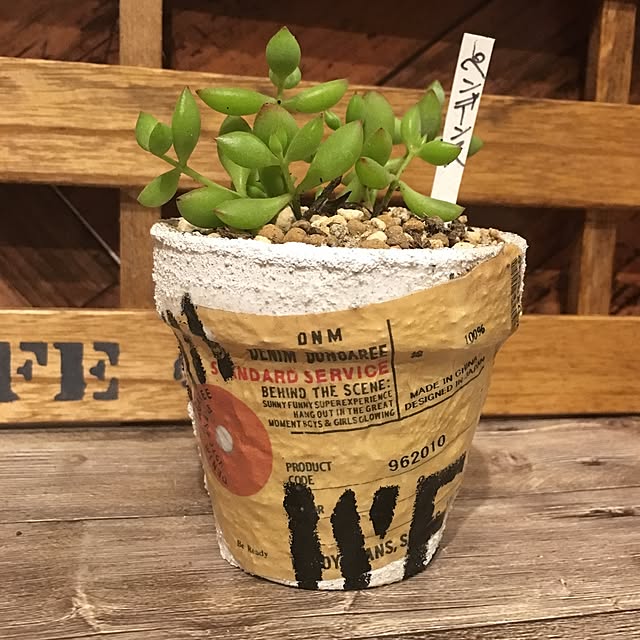 bon-bon-hippieさんの実例写真