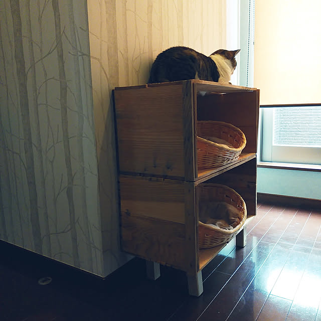 annさんの実例写真