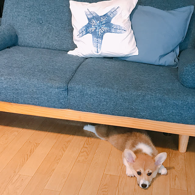 lapin0930さんの実例写真