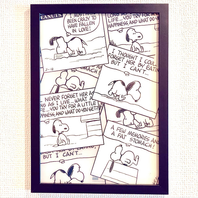 snoopyさんの実例写真