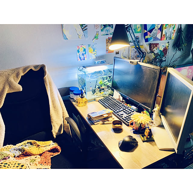parrotさんの実例写真