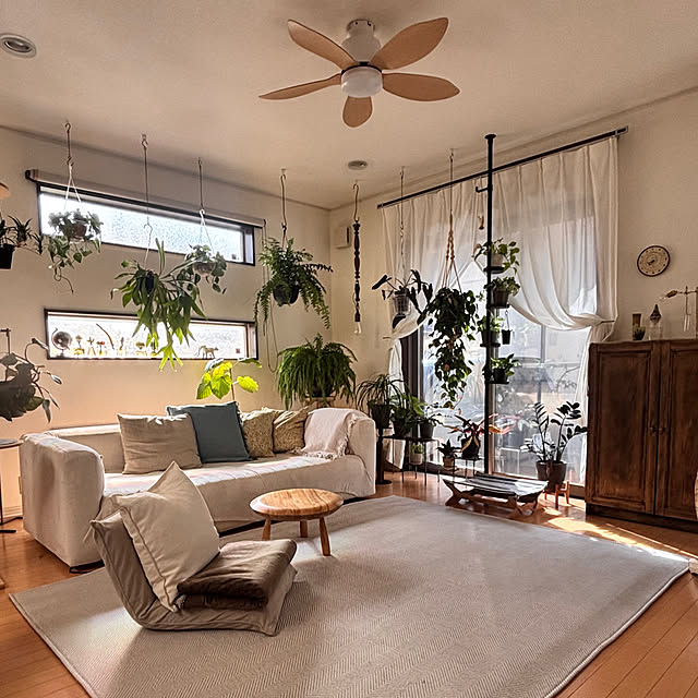 greycatsさんの部屋