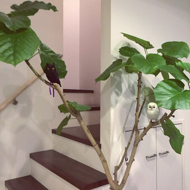 emさんの実例写真