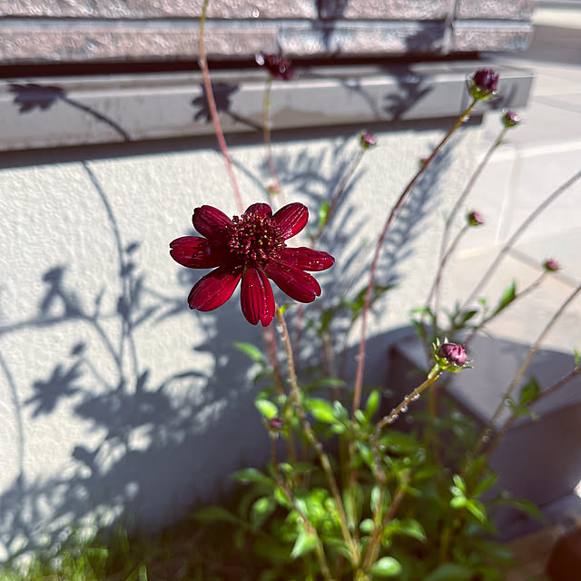 acham4111119さんの実例写真