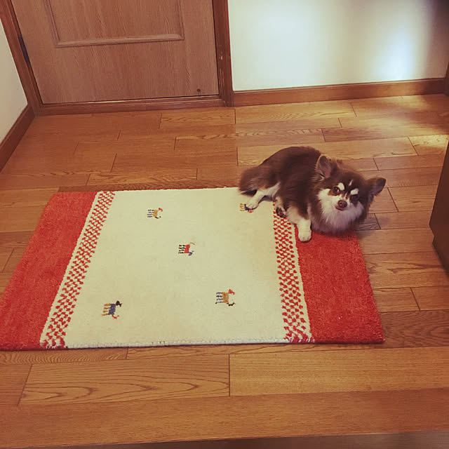 chIoeさんの実例写真