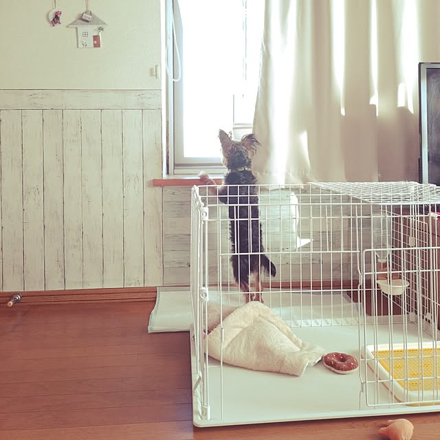 chinon721さんの部屋