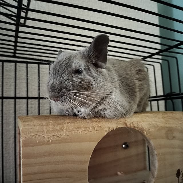 minmiさんの部屋