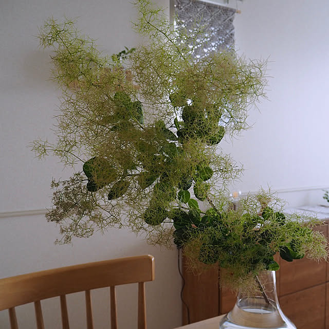 枝もの/梅雨の晴れ間/暮らしを楽しむ/植物のある暮らし/おうち時間...などのインテリア実例 - 2020-05-26 23:27:39