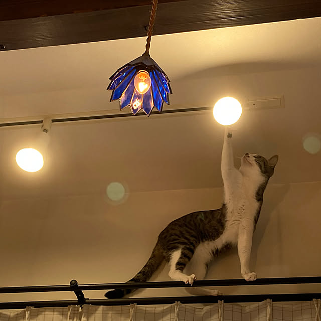 morimori_04さんの実例写真