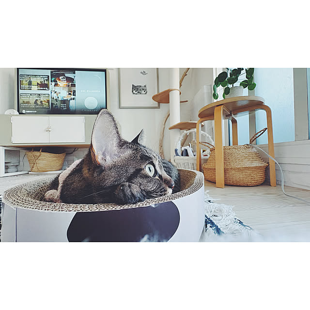 oliveさんの部屋