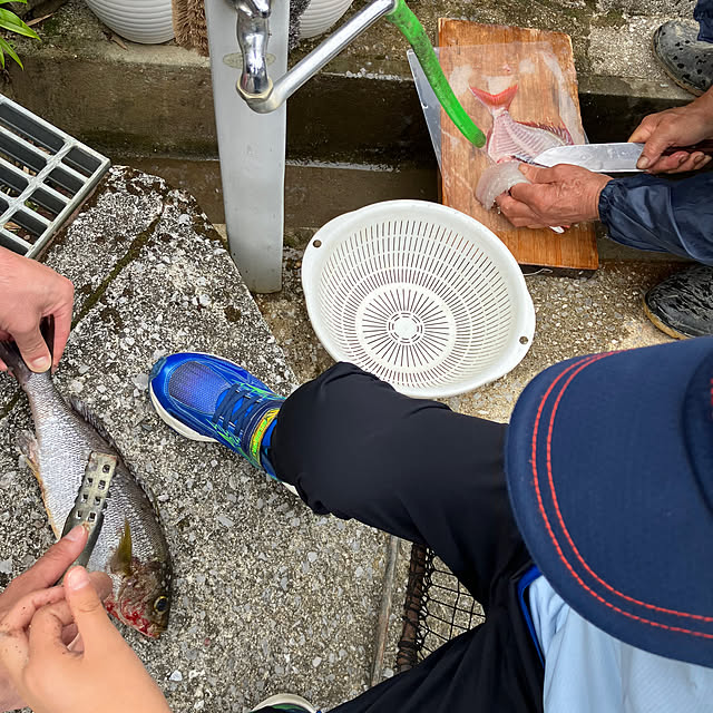 koshiregutyoさんの部屋