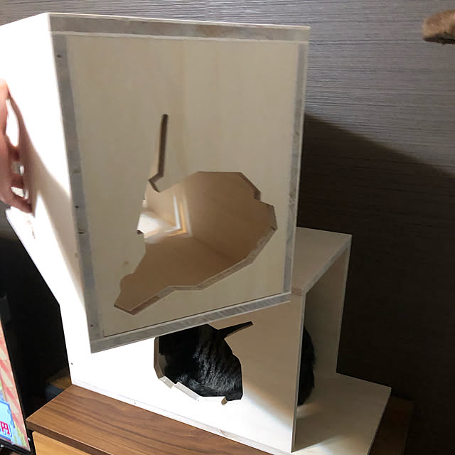 softさんの実例写真