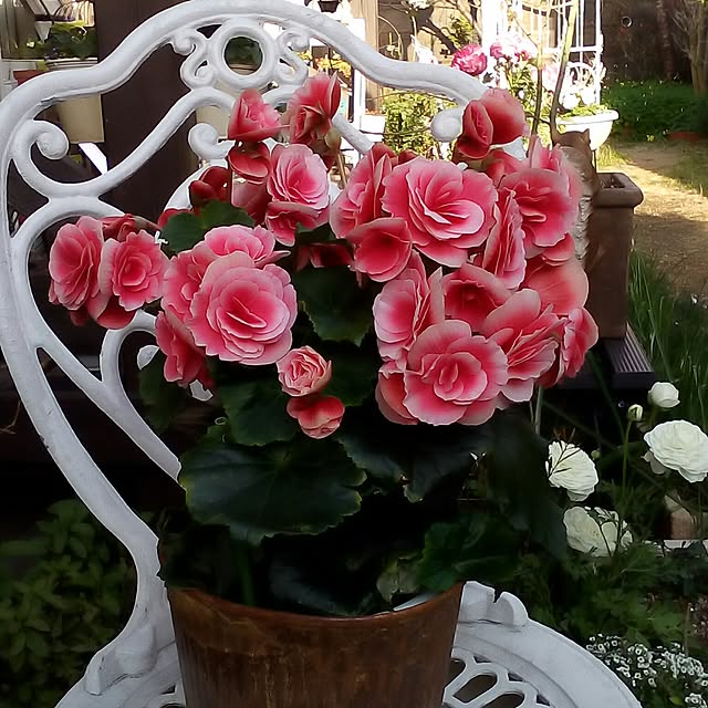 mariagardenさんの実例写真
