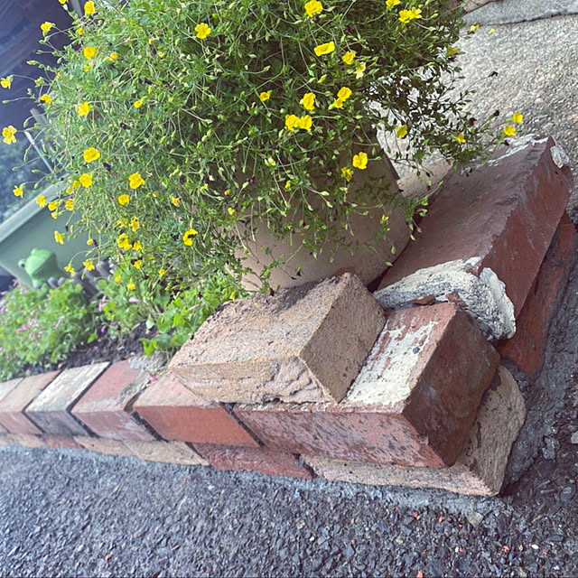 kumako0147さんの実例写真