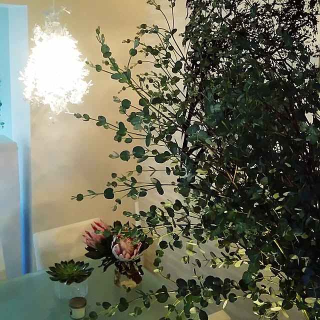 Shihoさんの実例写真