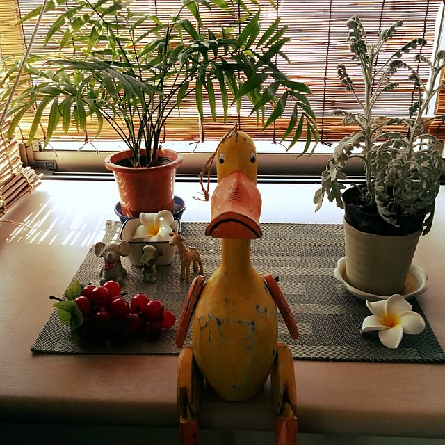 rascal1003さんの実例写真