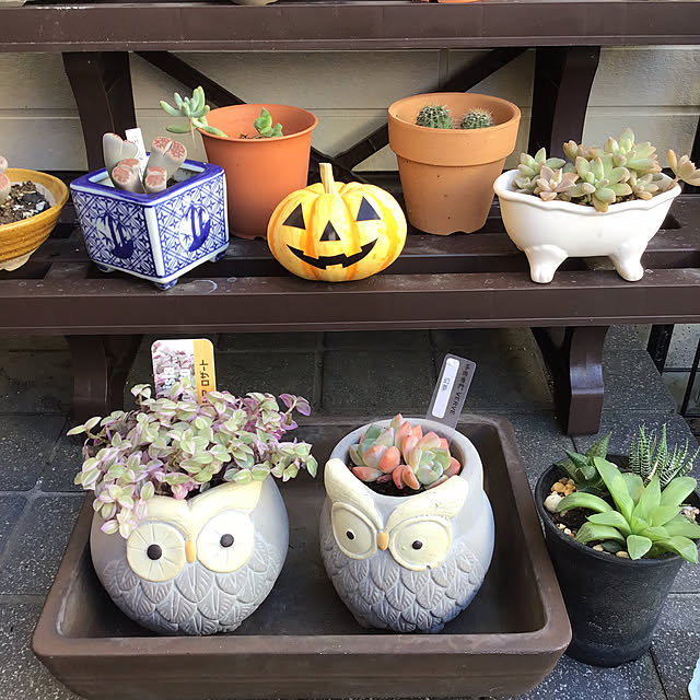 reonmamaさんの実例写真