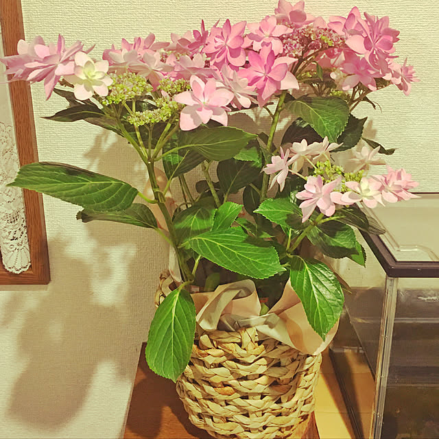 akane_g2002さんの実例写真