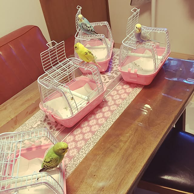 oniyomeさんの実例写真