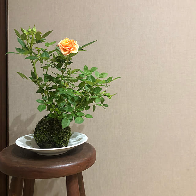 mutsuさんの実例写真