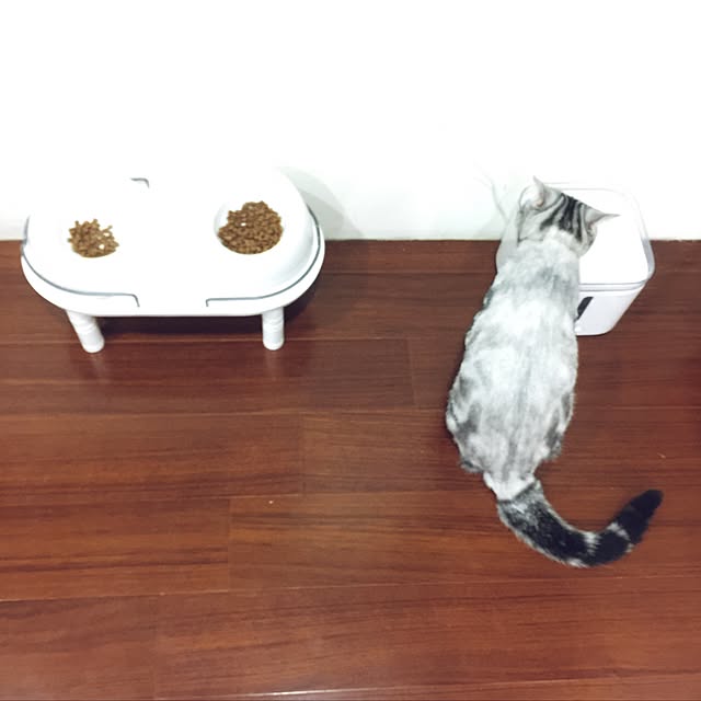 littlelittlechengさんの実例写真