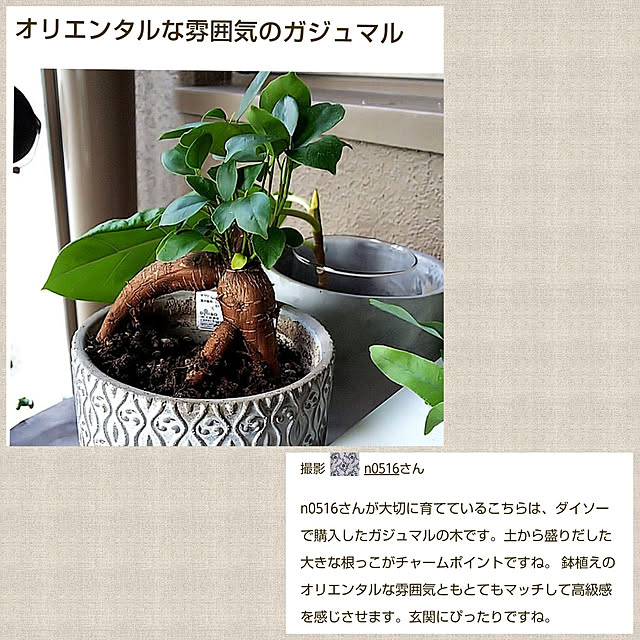 n0516さんの実例写真