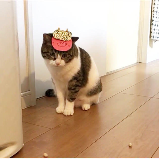 youkoさんの実例写真