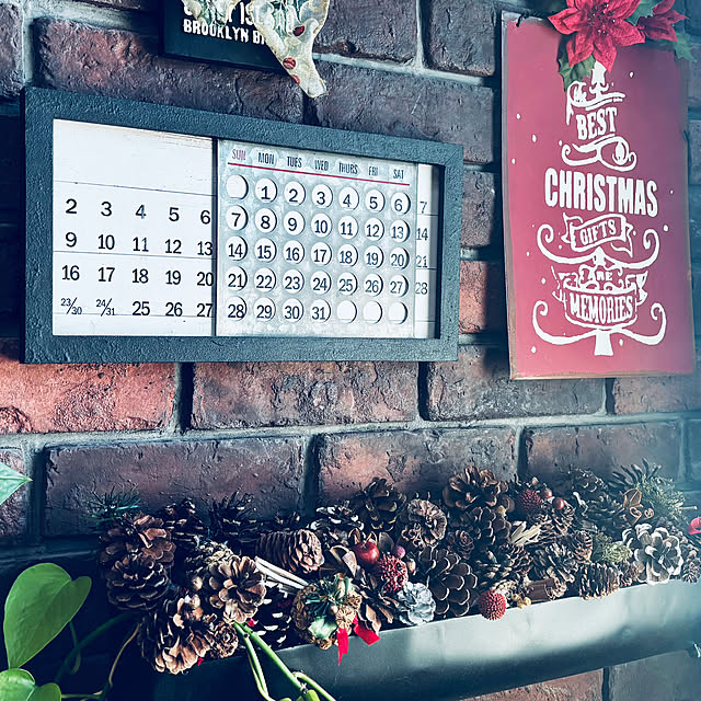 usagiさんの実例写真