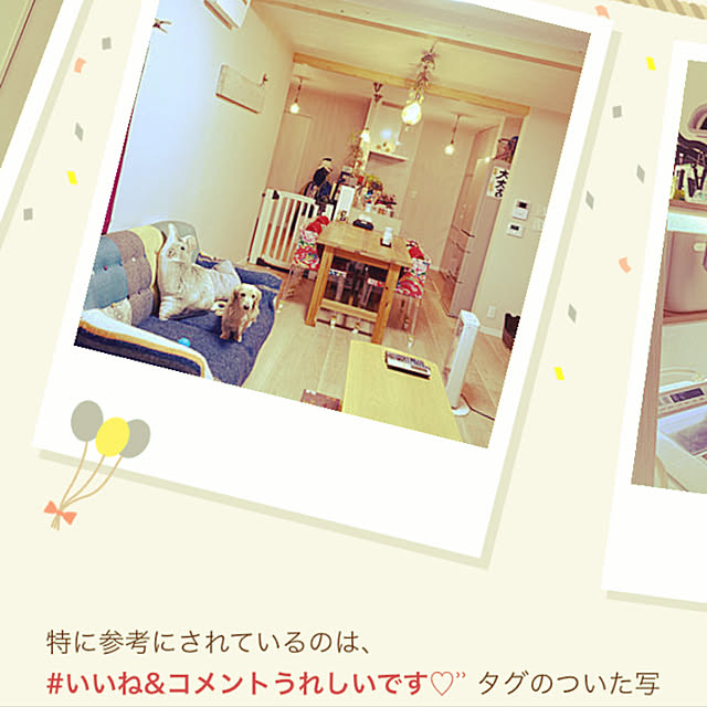 uninekoさんの実例写真