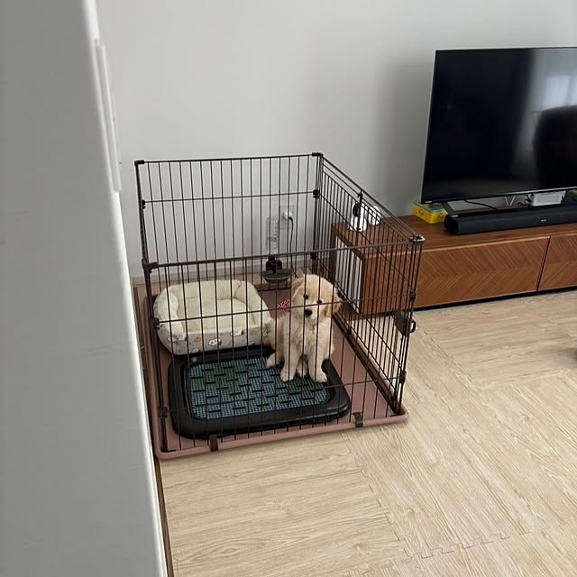 mogさんの部屋