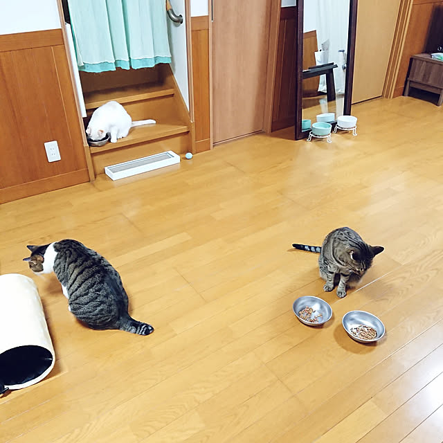 nachiさんの実例写真