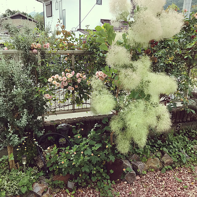 ryamさんの実例写真