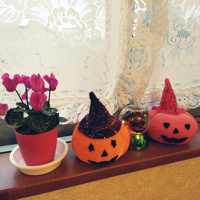 toshikoriさんの実例写真