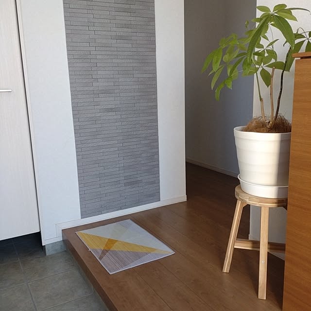 tan5さんの実例写真