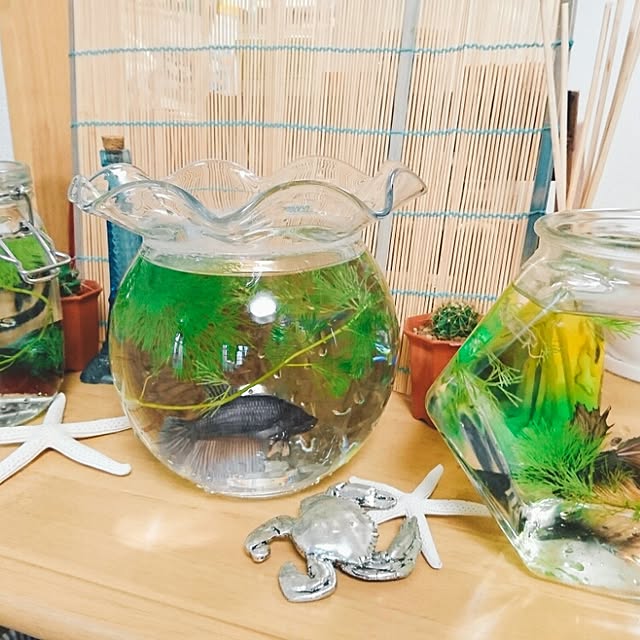 mezonsoreiyu201さんの実例写真